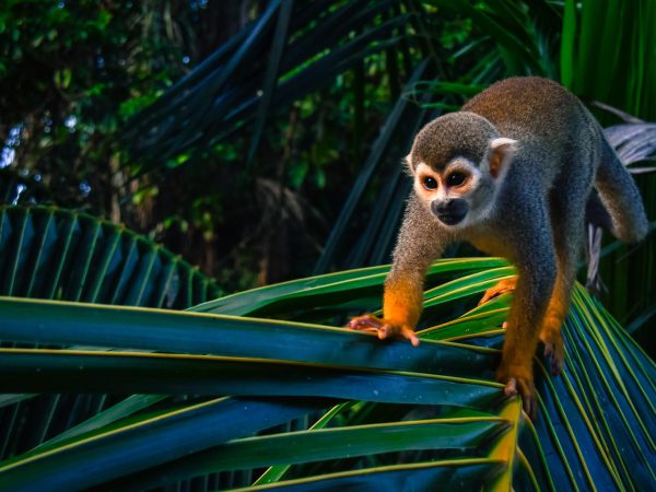 5d0f5ee9535fd231cf1f1565_ca155ffd-4333-43b6-9d44-99fecf4ce8c9