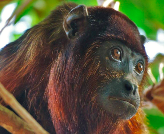 61debe5142d82cc9dfcc34b1_Schermafbeelding 2022-01-12 om 12.35.51