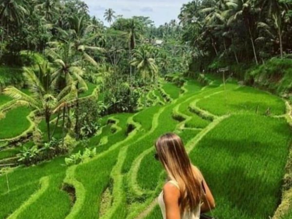 enchanting landscapes