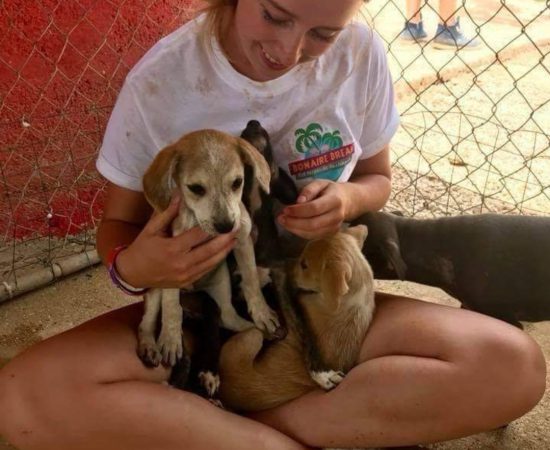 Screenshot_20230901_090307_Facebook