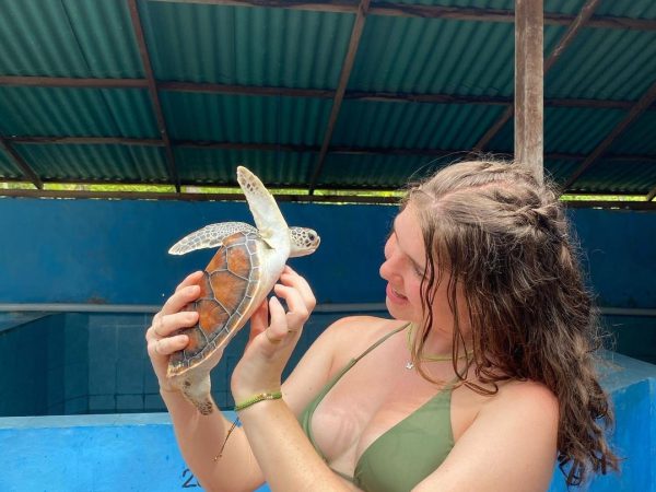 Screenshot_20231118_105751_Instagram